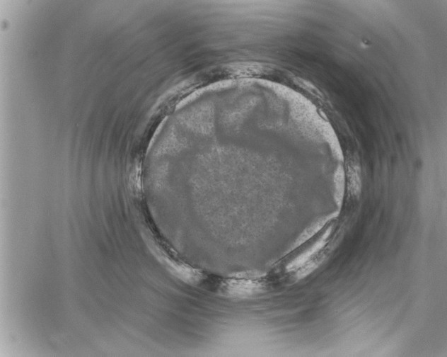 X0000064050766200602242345