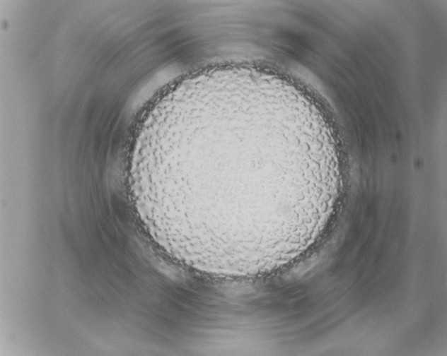 X0000064050874200602242343