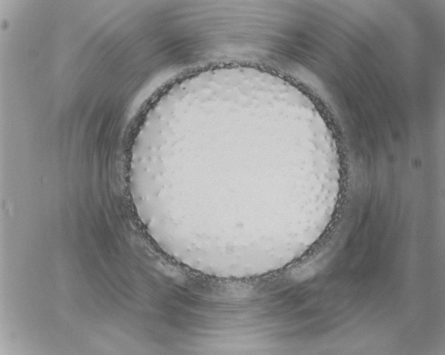 X0000064050878200602242343