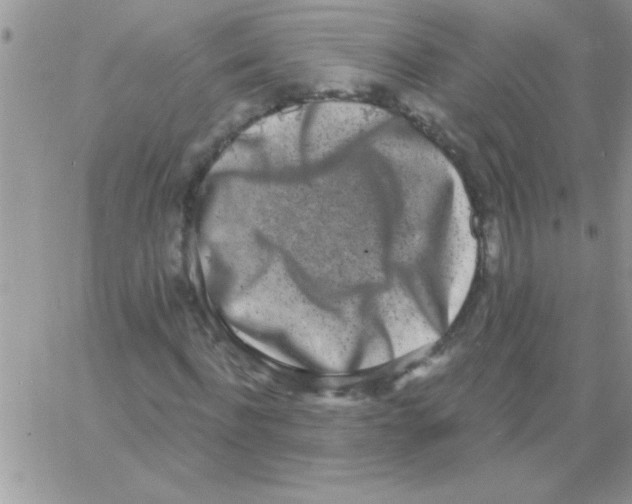 X0000064050916200602242341