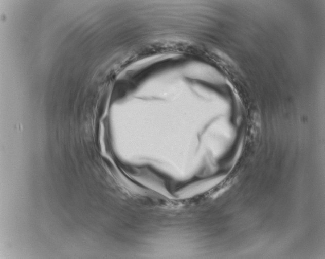 X0000064051014200602242340