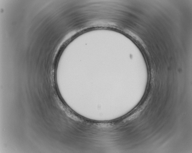 X0000064051029200602242340