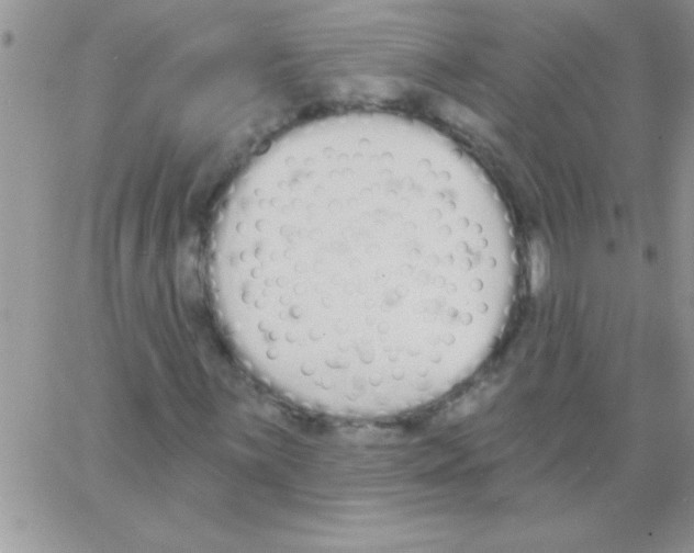 X0000064051059200602242340