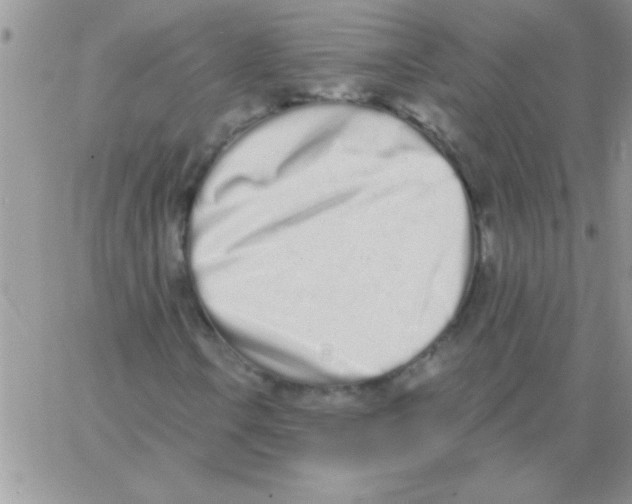 X0000064051106200602242338