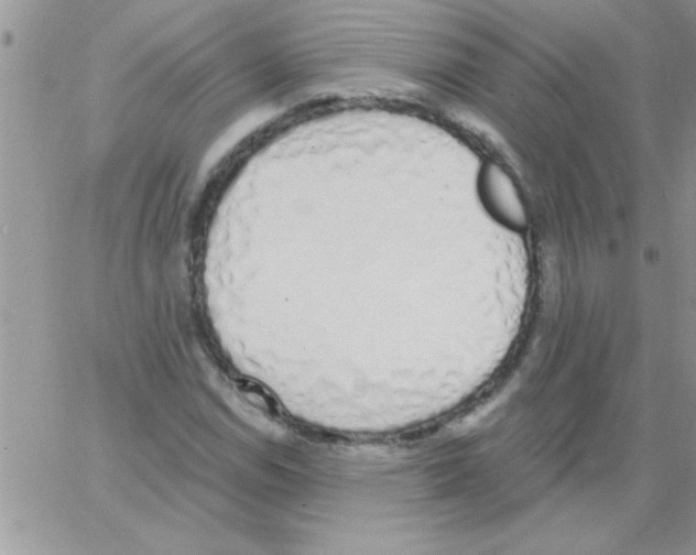 X0000064051114200602242338