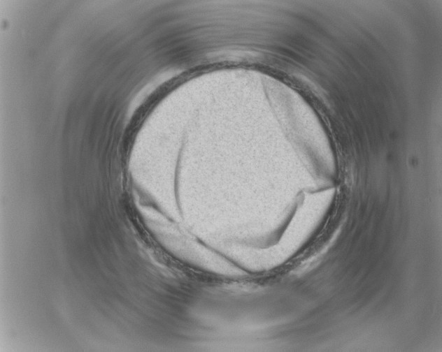 X0000064051117200602242339