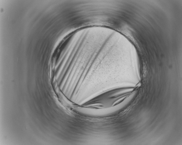 X0000064051132200602242339