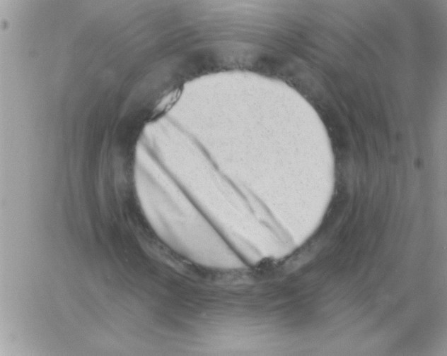 X0000064051154200602242338