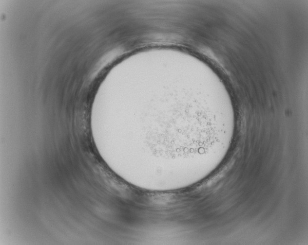 X0000064051211200602242337