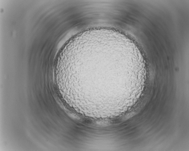 X0000064051274200602242336