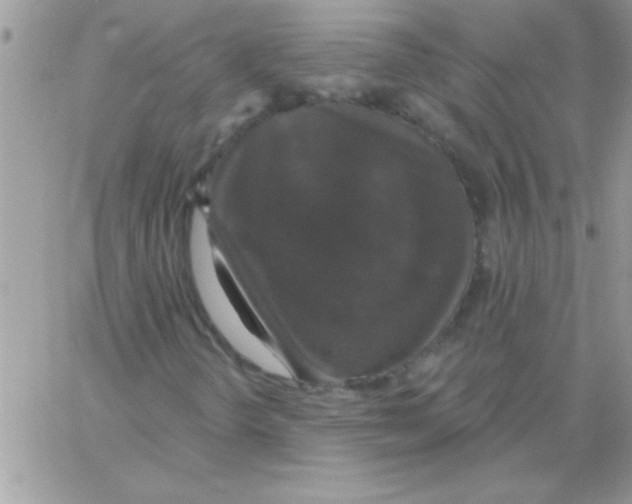 X0000064051298200602242335
