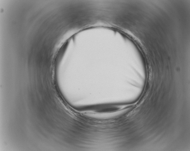 X0000064051367200602242335