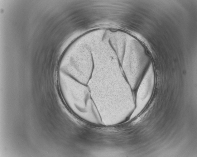 X0000064051383200602242335
