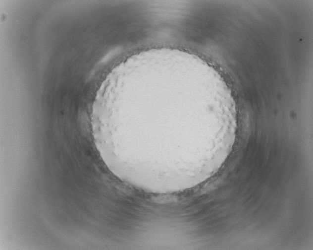 X0000064051446200602242334