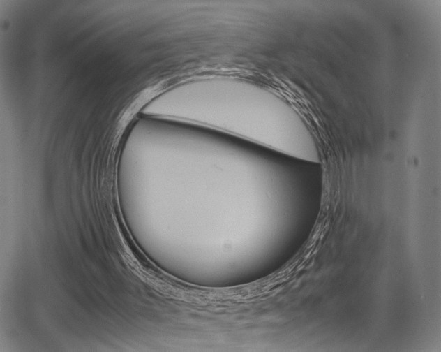 X0000064060003200601270945
