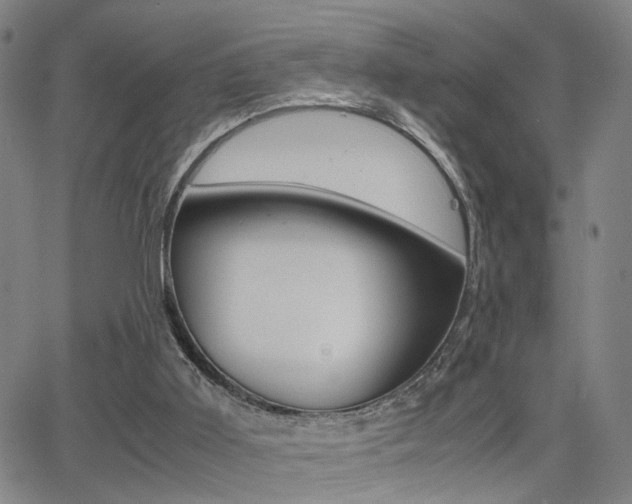 X0000064060011200601270945