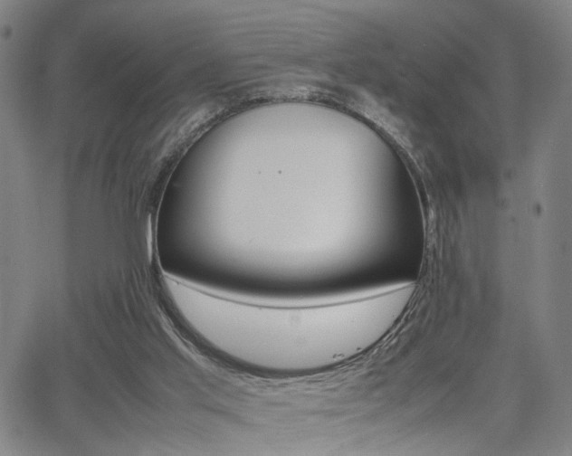 X0000064060013200601270945