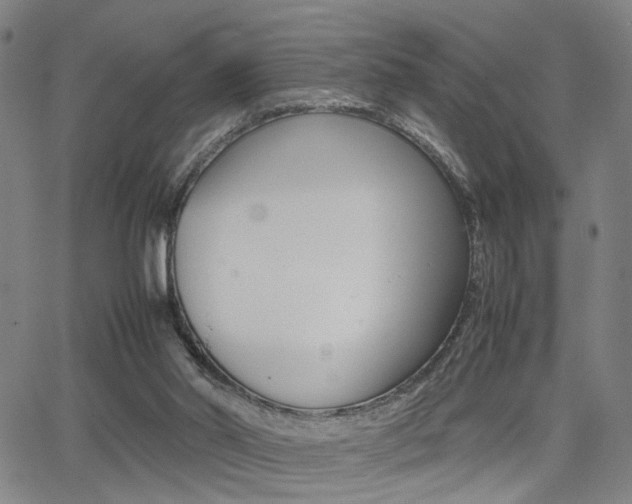 X0000064060014200601270945