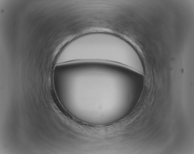 X0000064060015200601270945