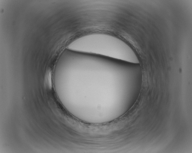 X0000064060022200601270945