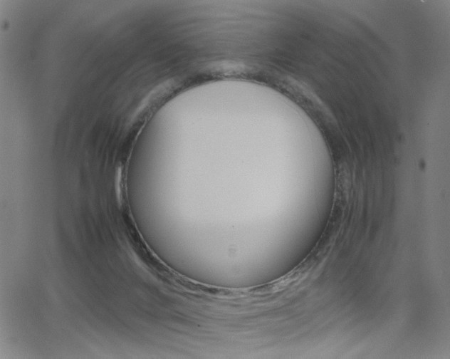 X0000064060024200601270945