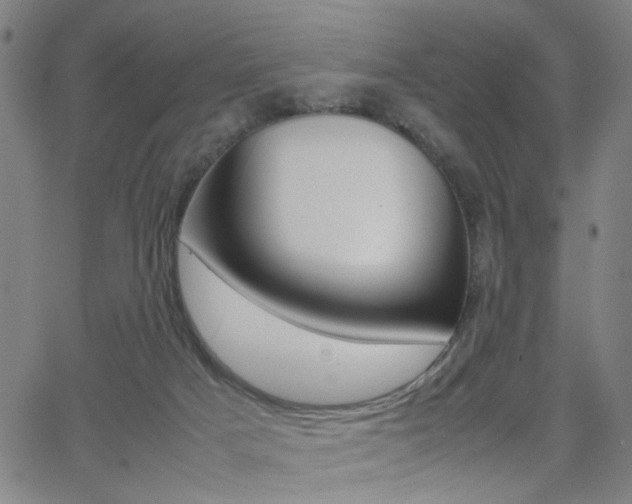 X0000064060025200601270945