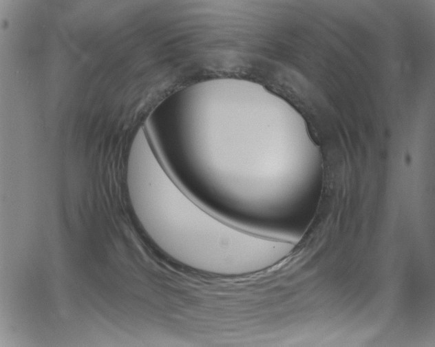X0000064060040200601270945