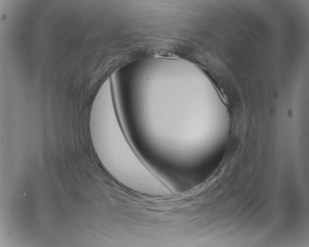 X0000064060041200601270944