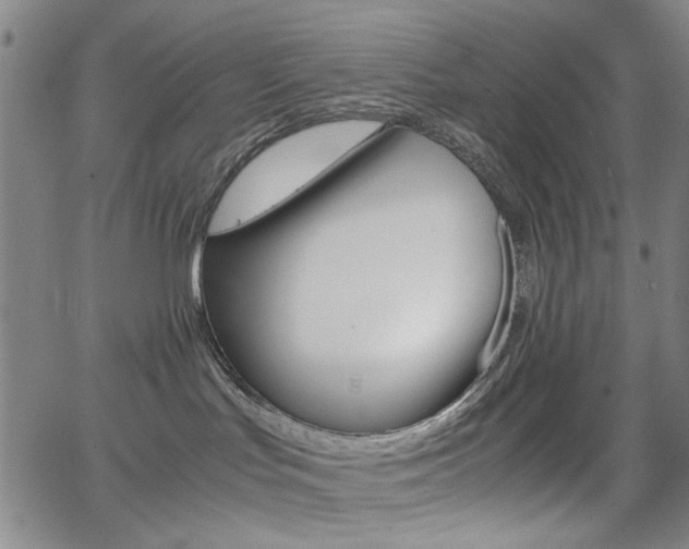 X0000064060047200601270944