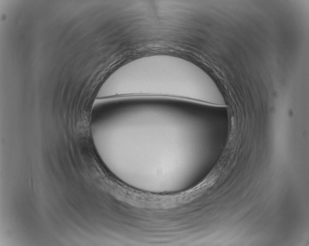 X0000064060048200601270944