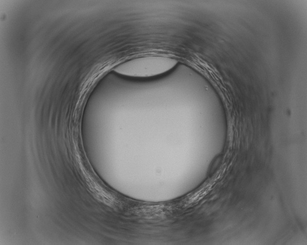 X0000064060049200601270944