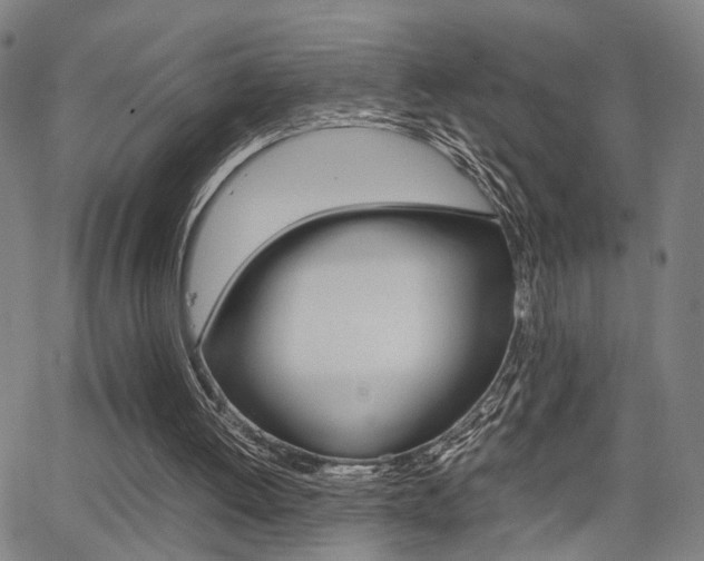 X0000064060052200601270944
