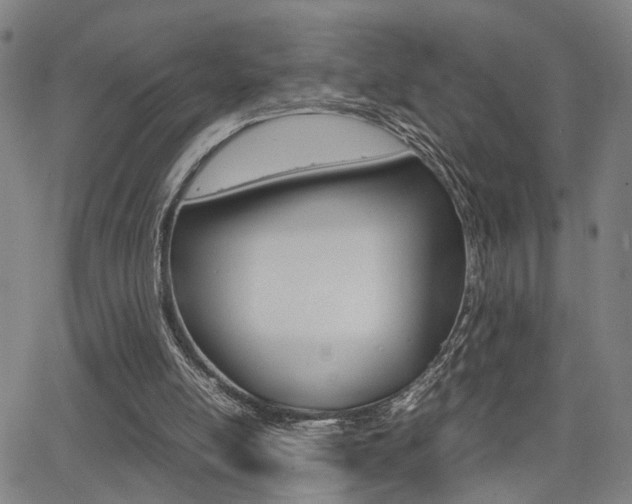 X0000064060054200601270944