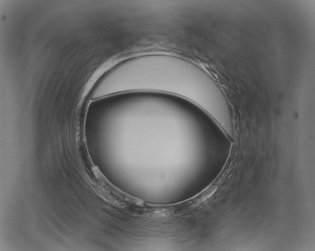 X0000064060056200601270944