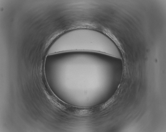 X0000064060058200601270944