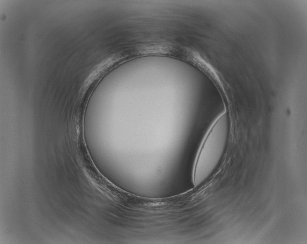 X0000064060059200601270944
