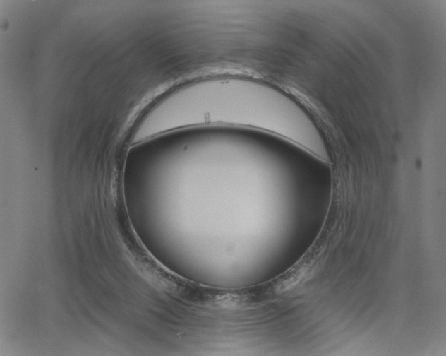 X0000064060064200601270944