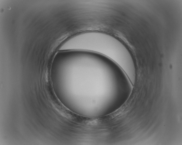 X0000064060068200601270944