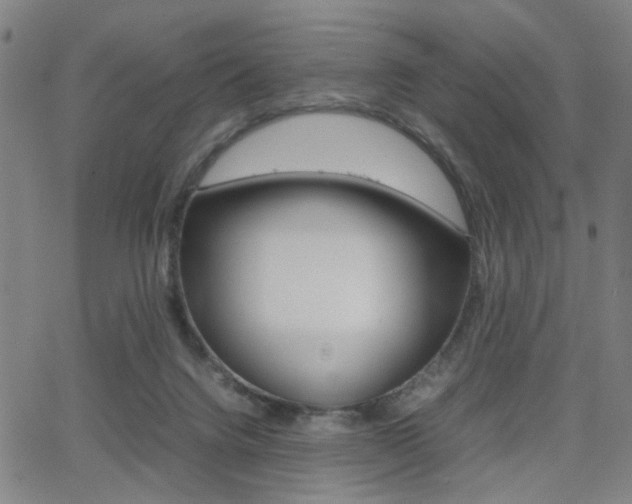 X0000064060072200601270944