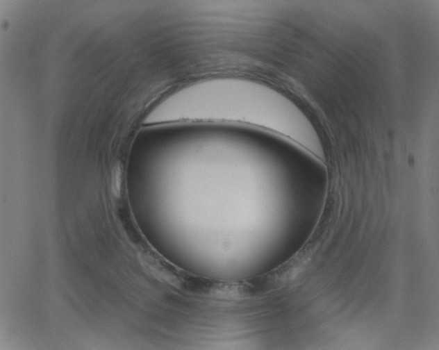 X0000064060076200601270944