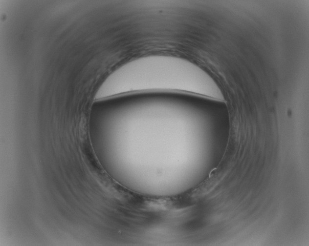 X0000064060079200601270944