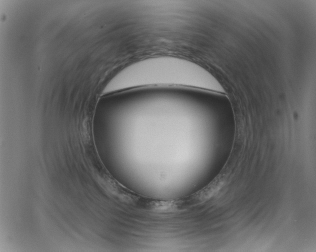X0000064060088200601270944