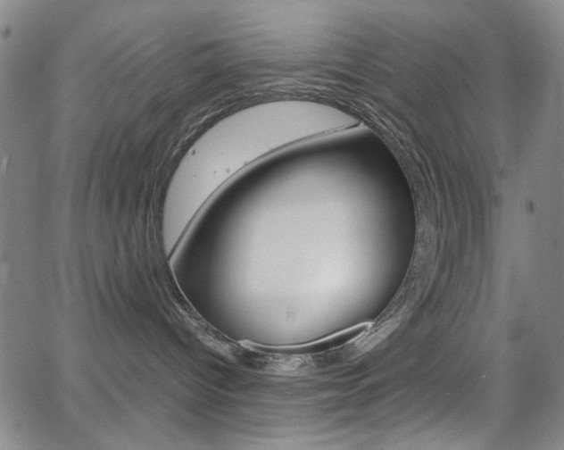 X0000064060096200601270944