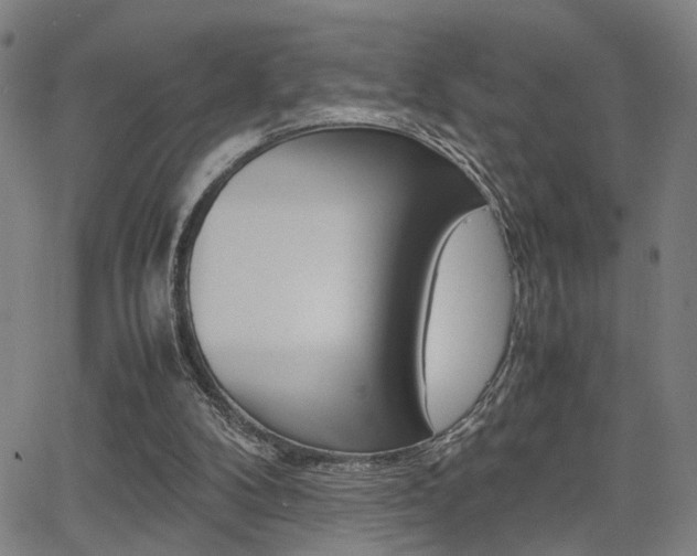 X0000064060104200601270943