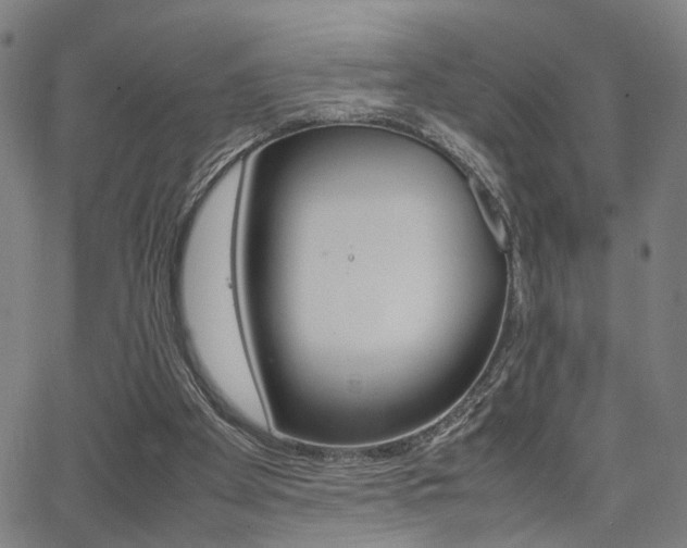 X0000064060105200601270943