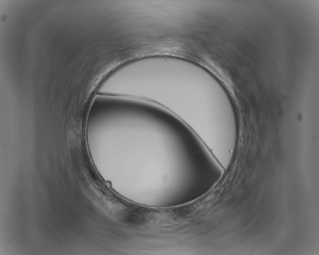 X0000064060107200601270943