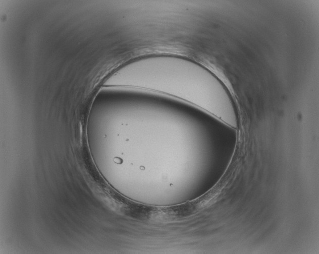 X0000064060109200601270943