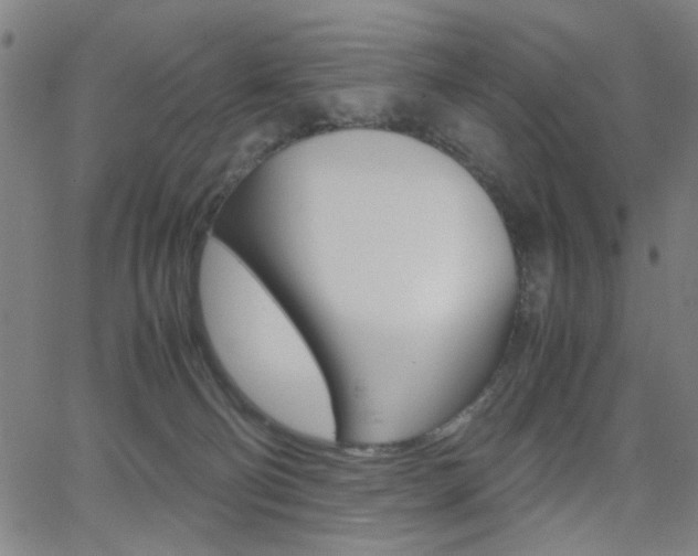 X0000064060130200601270943