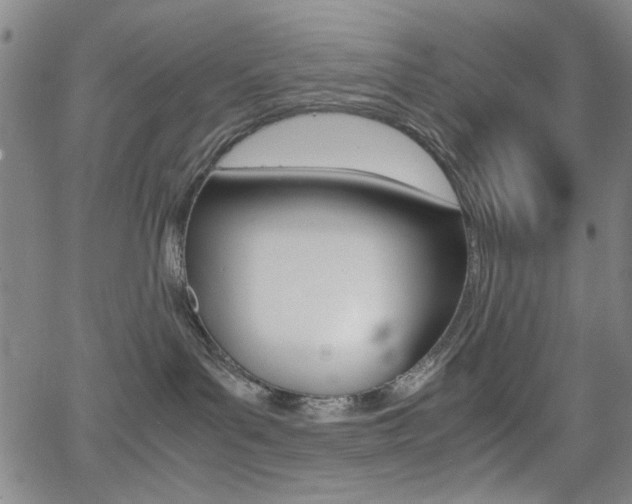 X0000064060143200601270943