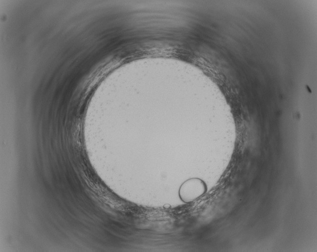 X0000064060146200601270942